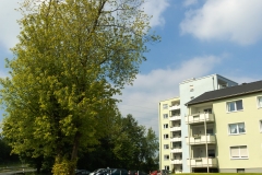 © Bauverein Sprockhövel